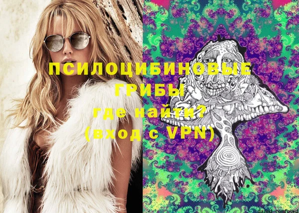 мдпв Горняк
