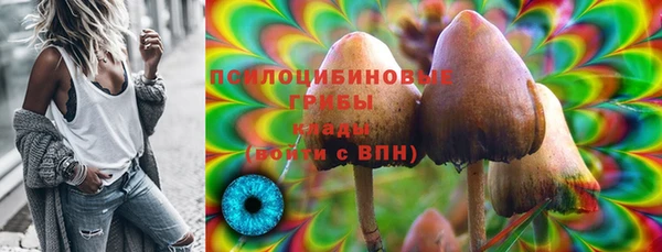 мдпв Горняк