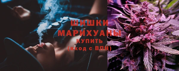 мдпв Горняк
