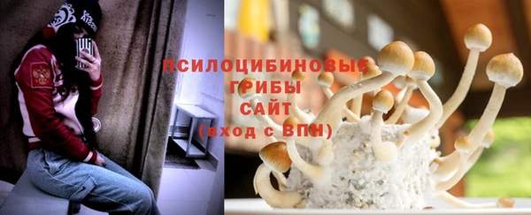 мдпв Горняк