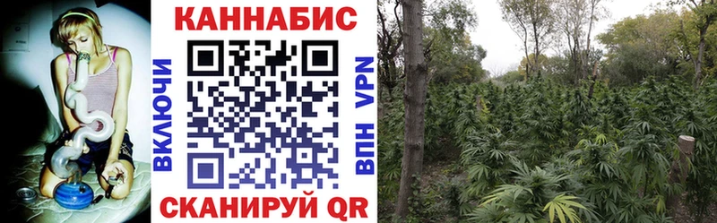 Бошки Шишки THC 21% Норильск